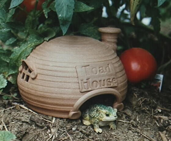 toadhouse